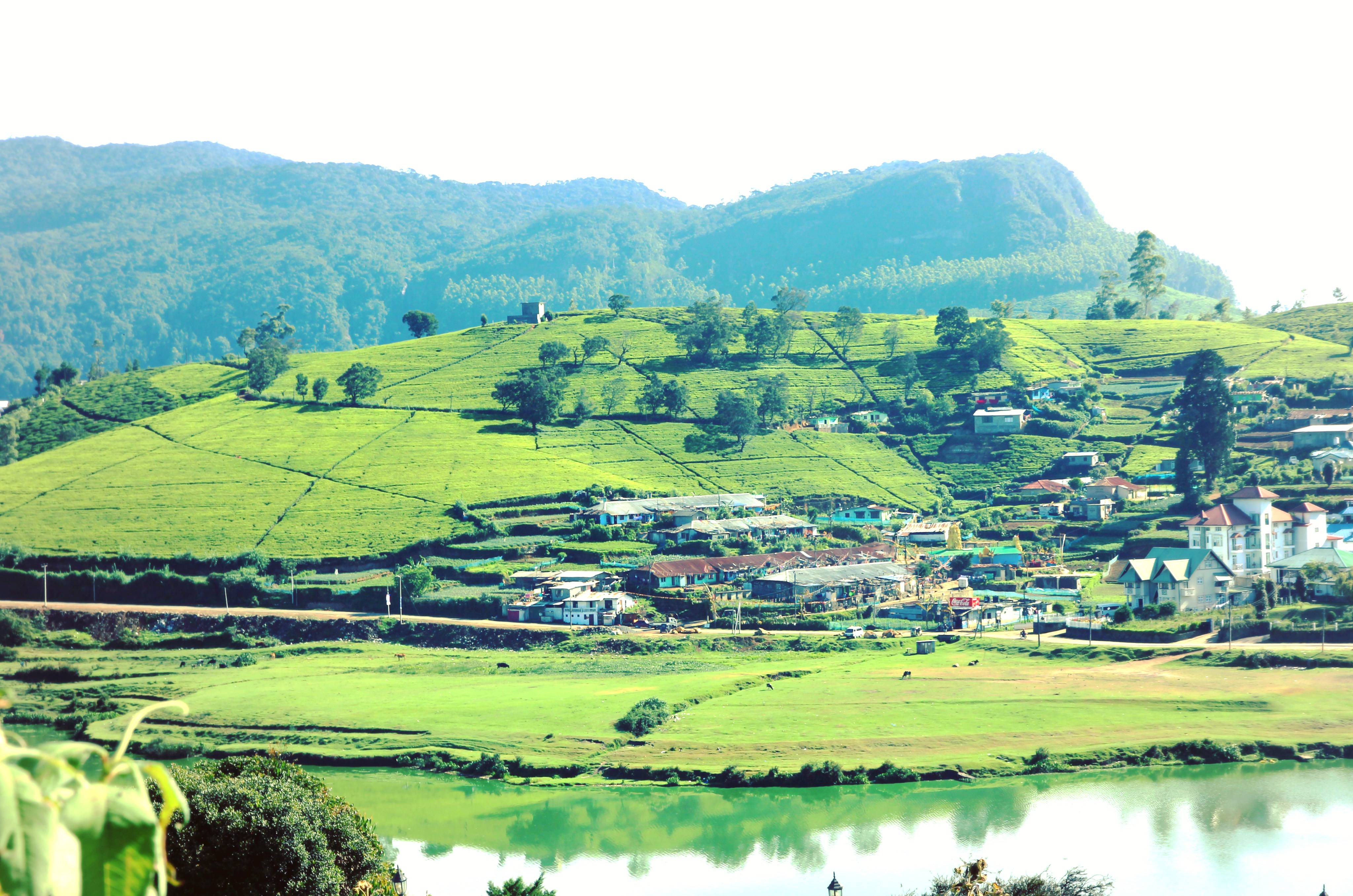 hồ Gregory sri lanka