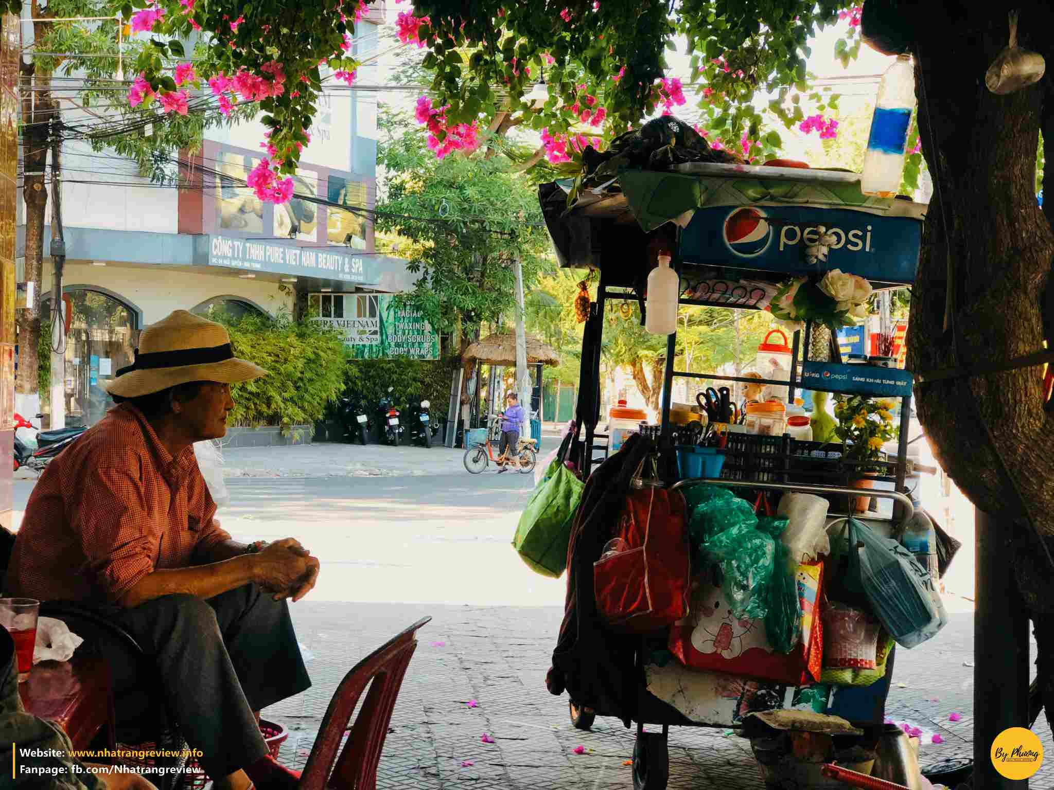 bông giấy nha trang